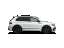 Volkswagen Tiguan 2.0 TDI 4Motion DSG R-Line