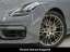 Porsche Panamera 4 Platinum Edition