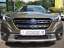 Subaru Outback 2.5i Platinum AHK Allwetterreifen