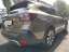 Subaru Outback 2.5i Platinum AHK Allwetterreifen