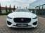 Jaguar XE P250 R-Dynamic SE