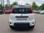 Fiat Panda MY24 Hybrid 1.0 GSE KomfortPaket*Bluetooth