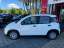 Fiat Panda 1.0 GSE Hybrid*TAGESZULASSUNG*