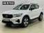 Volvo XC40 Dark Plus Recharge T5