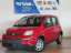 Fiat Panda Base 1.0 MildHybrid *sofort*