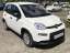 Fiat Panda MY24 1.0 Klima PDC Radio