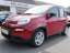 Fiat Panda Hybrid *Komfort-Paket*PDC*Bluetooth*Klima* uvm!