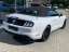 Ford Mustang GT 5.0 V8