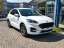 Ford Kuga Hybrid ST Line X