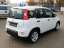 Fiat Panda 1.0 Hybrid, Klimaauto,SHZ,WSS-Heizung,PDC