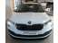 Skoda Karoq 1.5 TSI Ambition