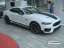 Ford Mustang Fastback GT 5.0 V8