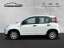 Fiat Panda Base 1.0 Mild Hybrid DAB Klima BT el.SP Spieg. beh