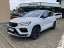 Cupra Ateca 2.0 TSI 4Drive DSG