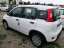 Fiat Panda MY24