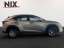 Lexus NX 300h Amazing edition