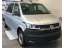 Volkswagen Transporter 4Motion Lang