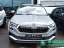 Skoda Karoq Selection /Kamera/Apple+Android/LED