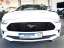 Ford Mustang Convertible GT 5.0 V8 Shelby