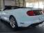 Ford Mustang Convertible GT 5.0 V8 Shelby