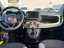 Fiat Panda Base 1.0 Mild Hybrid DAB Berganfahrass. Klima Frei