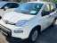 Fiat Panda 4x2