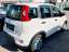 Fiat Panda 4x2