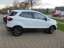 Ford EcoSport Trend