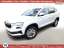 Skoda Karoq TDI 116 Selec LED VirC Kam SunS PDC LaneA 85 kW...