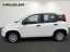 Fiat Panda 1.0 GSE Hybrid Klima Bluetooth ZV el. Fensterheber