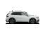 Volkswagen Tiguan Tiguan R m. Pano-Dach+ R-Perfromance Abgasanlage