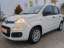 Fiat Panda 1.2 Klima/Sitzhzg/Frontscheibehzg/19 Tkm/1.Hd