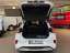 Ford Puma ST Line