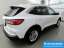 Ford Kuga EcoBoost Titanium