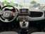 Fiat Panda Base 1.0 Mild Hybrid DAB Tel.-Vorb. Berganfahrass.