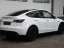 Tesla Model Y AWD Long Range