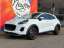 Ford Puma Titanium