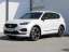 Seat Tarraco 1.5 TSI DSG FR-lijn