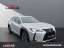 Lexus UX 250h Luxury Line