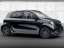 Smart EQ forfour Passion