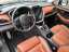 Subaru Outback Platinum Leder braun