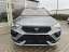 Cupra Ateca 2.0 TSI 4Drive DSG