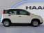 Fiat Panda 1.0 Mild Hybrid Radio Klima sehr sparsam