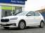 Skoda Fabia 59KW LED DAB PDC.2024erMODEL GJR SUPER SAUBER 1.HD