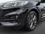 Ford Kuga ST Line X