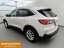 Ford Kuga 4x4 AWD Titanium X