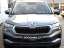 Skoda Karoq DSG Kamera Design Pack Smart Link