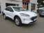 Ford Kuga Titanium X