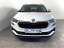 Skoda Karoq 2.0 TDI 4x4 Ambition