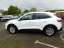 Ford Kuga Titanium X